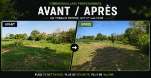 Photo de galerie - Débroussaillage / Défrichage