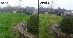 Photo de galerie - 1ère tonte d'herbes hautes (35cm) mouillé