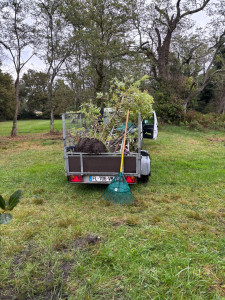 Photo de galerie -   arbustes 