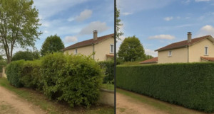 Photo de galerie - Taille de haies 