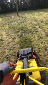 Photo de galerie - Tonte de pelouse - Débroussaillage