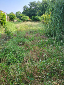 Photo de galerie - Voici le terrain avant la tonte et débrouissaillage 