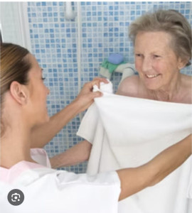 Photo de galerie - Aide à la toilette