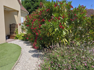 Photo de galerie - L'avancé d'un pavillon. Création d'une allée, un parterre synthétique et quelques fleurs pour donner vie à cette entrée .