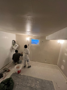 Photo de galerie - Enduit mural 