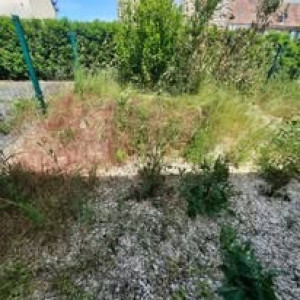 Photo de galerie - Tonte de pelouse - Débroussaillage