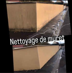 Photo de galerie - Nettoyage de muret.