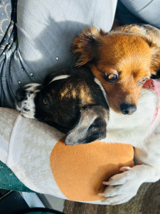 Photo de galerie - Je peux vous aidez pour vos courses , votre ménage , ou tout simplement une après midi jeux , lecture ….