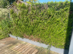 Photo de galerie - Paysagiste - Aménagement du jardin