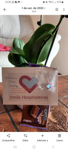 Photo de galerie - Aide soignante