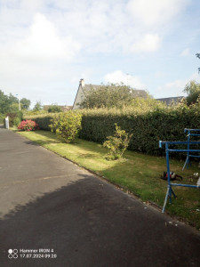 Photo de galerie - Tonte et après taillage de haie 
