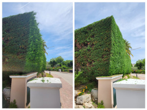 Photo de galerie - Jardinier