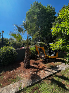 Photo de galerie - Plantation 