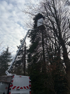 Photo de galerie - Abattage avec nacelle 