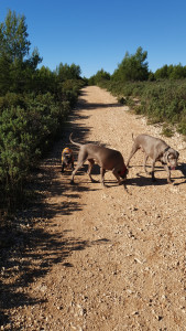 Photo de galerie - Promenade  dans les collines