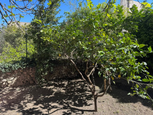 Photo de galerie - Nettoyage du jardin 