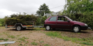 Photo de galerie - Tondre la pelouse et taille la  haie