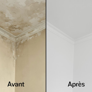 Photo de galerie - Avant et après 