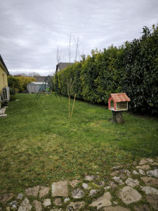 Photo de galerie - Début taille 