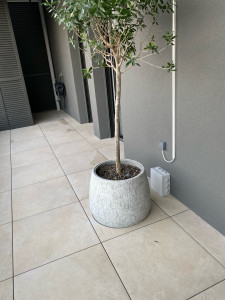 Photo de galerie - Découpe de Dalle sur plots. 