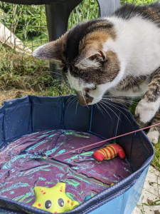 Photo de galerie - Garde animaux
