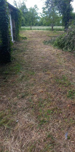 Photo de galerie - Débroussaillage de jardin remise en état étape par étape 