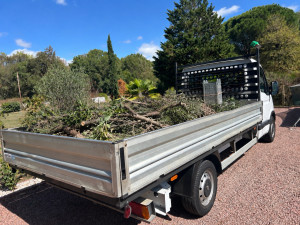 Photo de galerie - Coupe d’arbre 