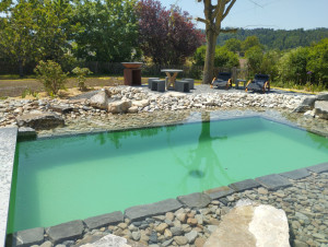 Photo de galerie - Piscine naturelle 