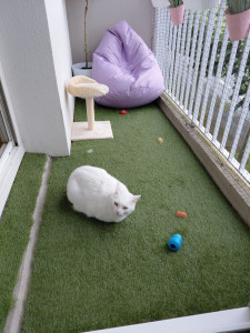 Photo de galerie - Garde animaux