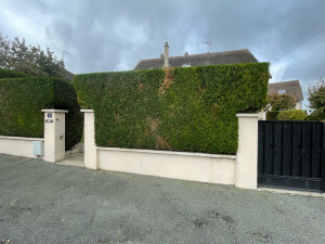 Photo de galerie - Remise en état 