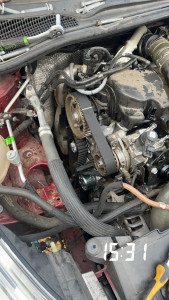 Photo de galerie - Distribution 