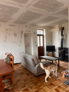 Photo de galerie - Chantier 2025 murs et plafond
