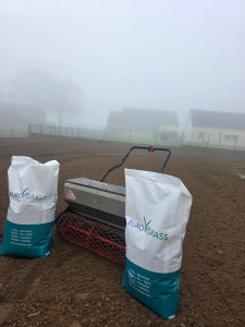 Photo de galerie - Paysagiste - Aménagement du jardin