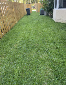 Photo de galerie - Tonte de pelouse - Débroussaillage