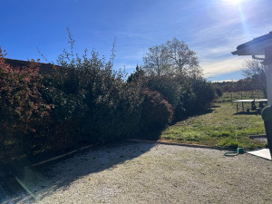 Photo de galerie - Taille de haies et d'arbustes