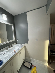 Photo de galerie - Peinture - Tapisserie