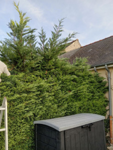 Photo de galerie - Avant