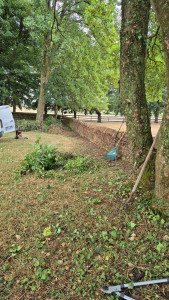 Photo de galerie - Tonte de pelouse - Débroussaillage