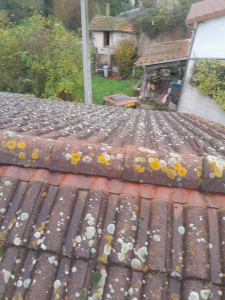 Photo de galerie - Couverture - Toiture