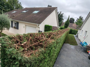 Photo de galerie - Taille de haies et d'arbustes