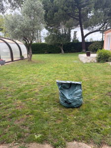 Photo de galerie - Tonte 