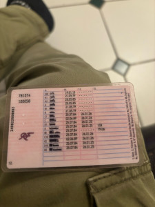 Photo de galerie - Permis toutes catégories véhicules