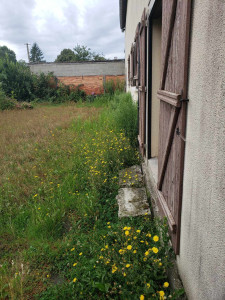 Photo de galerie - Tonte de pelouse - Débroussaillage