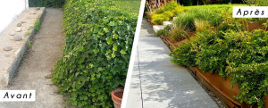 Photo de galerie - Taille d'arbuste
