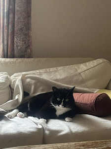 Photo de galerie - Kiki à Bertrange