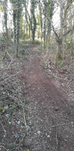 Photo de galerie - Paysagiste - Aménagement du jardin