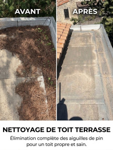 Photo de galerie - Nettoyage toit terrasse d’aiguille de pin