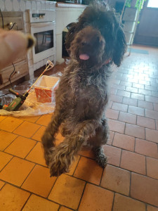 Photo de galerie - Je suis féroce attention !