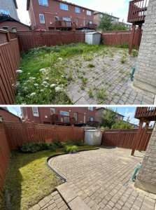 Photo de galerie - Avant après d'un jardin que j'ai nettoyé