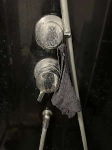 Photo de galerie - Petit avant 